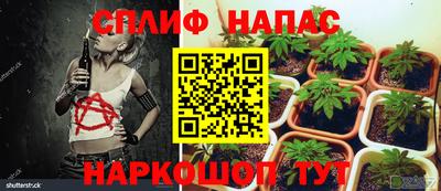 кокаин премиум Гусев