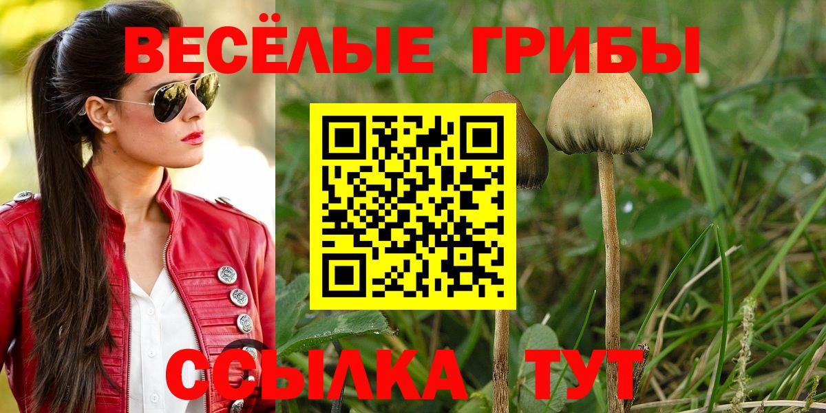 Мирный  Псилоцибиновые грибы Psilocybe  Вход с VPN 