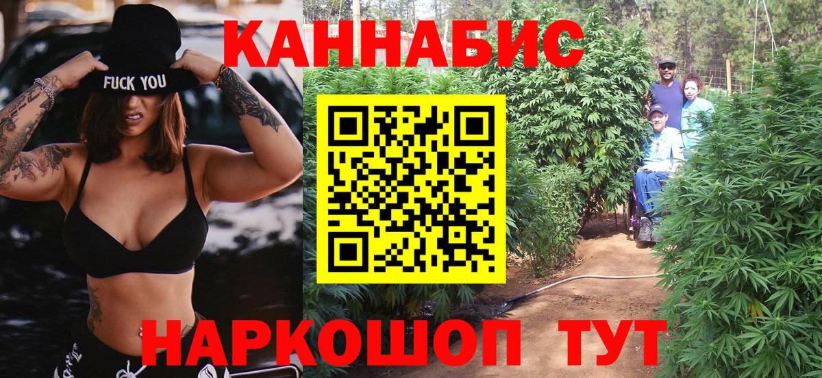 Бошки Шишки MAZAR Мирный